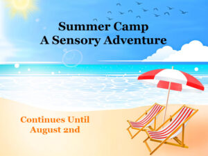 Read more about the article Summer Camp Adventure